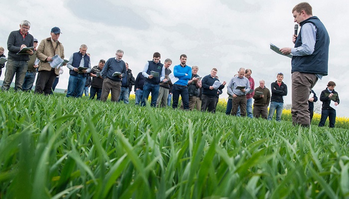 Teagasc Regional Winter Crop Walks - February 2022