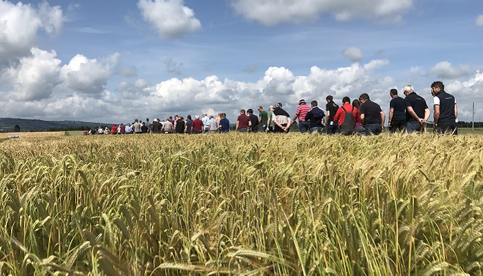 Highlights from the Teagasc Crops Open Day