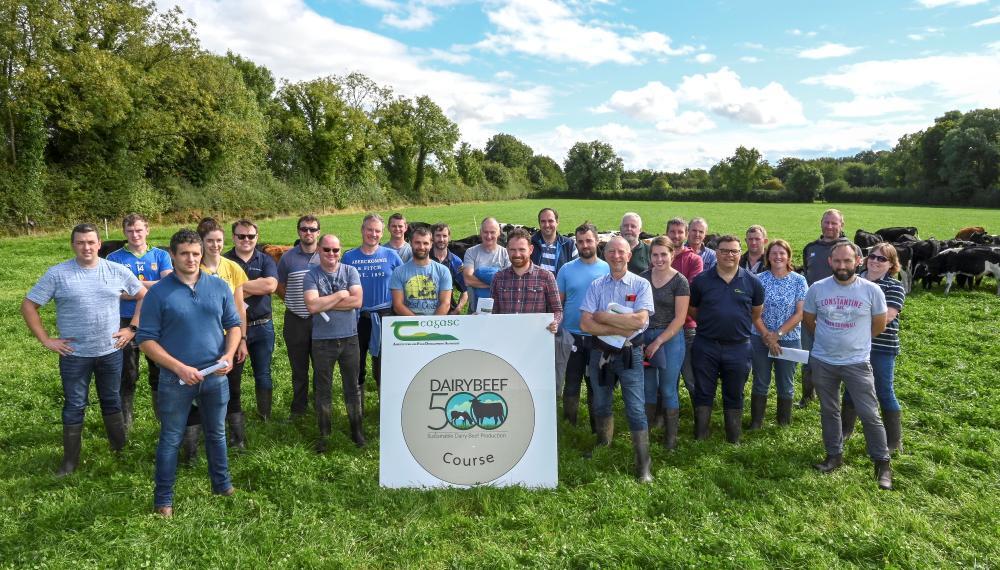 Students graduate from Teagasc Dairy Calf to Beef Courses