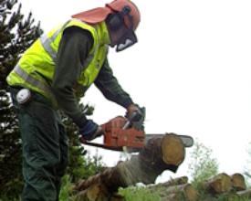 Chainsaw Operator in protective gear