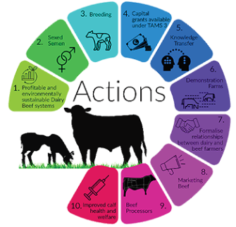 Dairy Beef Ten-Point Action Plan - Details in text