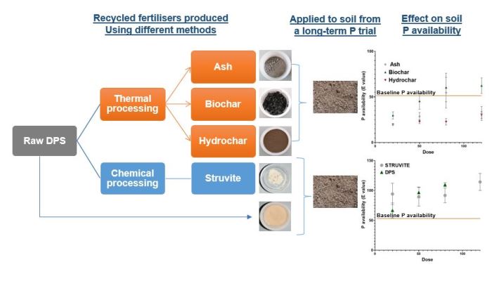 Can bio-fertilisers from dairy processing waste become the next generation phosphorus bio-fertiliser?