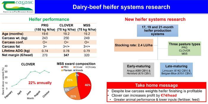 Dairy-beef heifer systems research