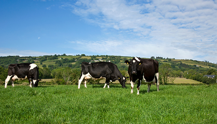 Breeding Week 2024: Understanding the maintenance sub-index