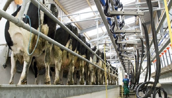 Is SCC rising in your herd?