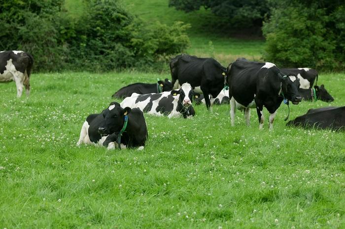 Control thermoduric bacteria