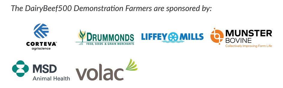 DairyBeef500-Farmer sponsors