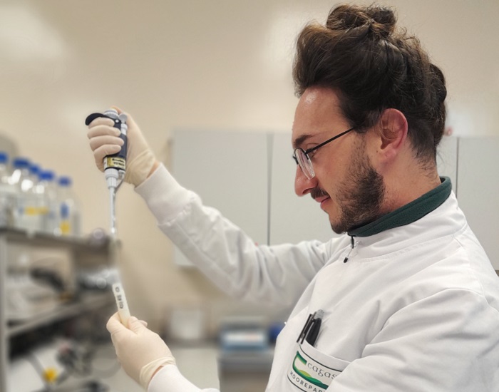 Teagasc Walsh Scholar wins International Dairy Federation Award for Early Career Scientists