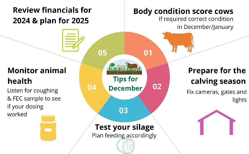 Top tips for the month