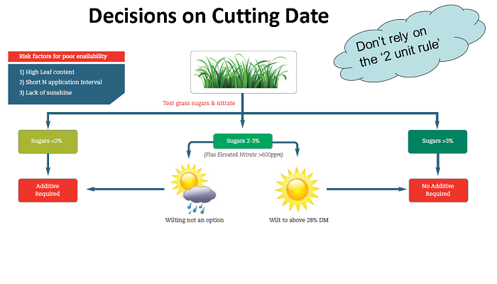 The Silage Dilemma -  Bulk or Quality