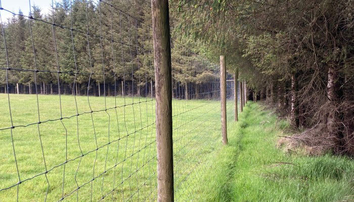 Forest fences – keeping our forests safe