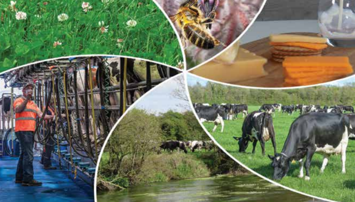 Delivering on sustainability