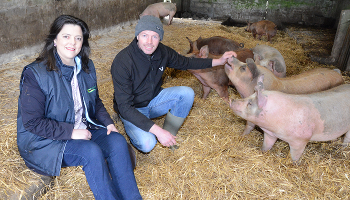 Direct selling from Castlemine Farm