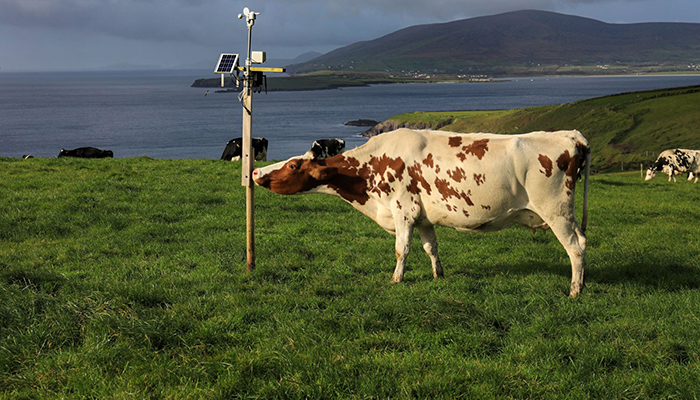 Use of digital technology in making precision management decisions on-farm