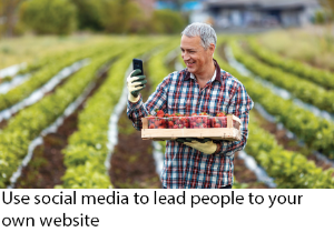 Diversification Social Media Caption Image 1