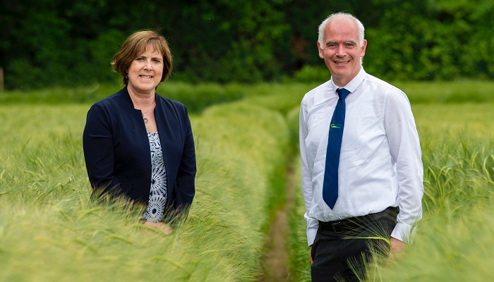 Funded Pathway to Agri-Analytics Career at DkIT