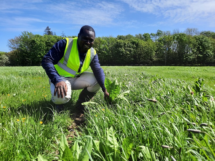 Dr Israel Ikoyi pictured in the Sward trial plots