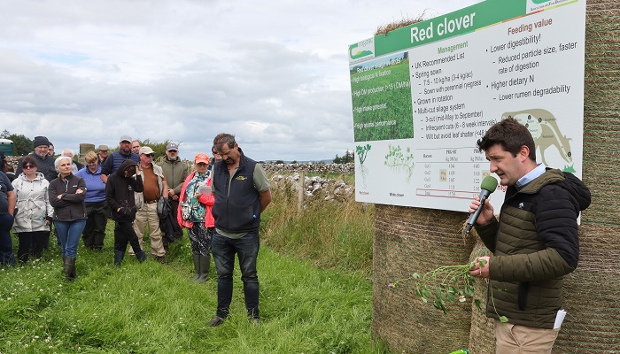 Dr Nicky Byrne discussing red clover agronomy at the Growing Organics Farm walk