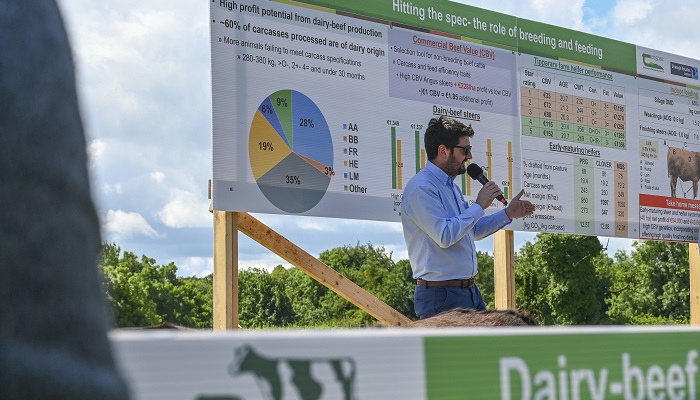 Dr Nicky Byrne speaking at the Tipperary Dairy Calf to Beef Open Day