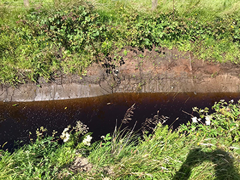 Drain Cleaning Image