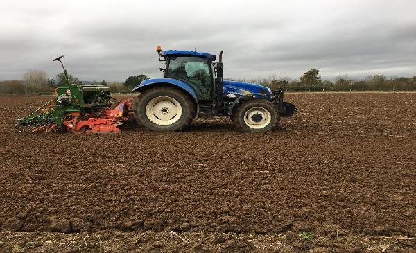 Tractor drilling winter wheat in spring