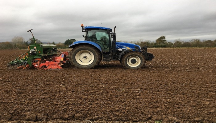Check your seed rates