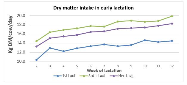 Dry matter intake of mature cows (3rd lactation +), heifers and a herd average with 25% replacement rate, measured in weeks 2-12 of early lactation as published by Walsh et al., 2024.