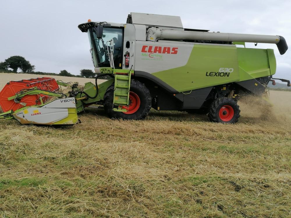 Combine harvesting winter barley
