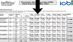 Pat and Sean Kelly - EBI Report
