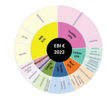 Graphic showing the breakdown of EBI