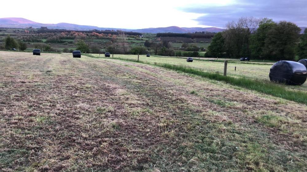 Baled silage made on strong paddocks
