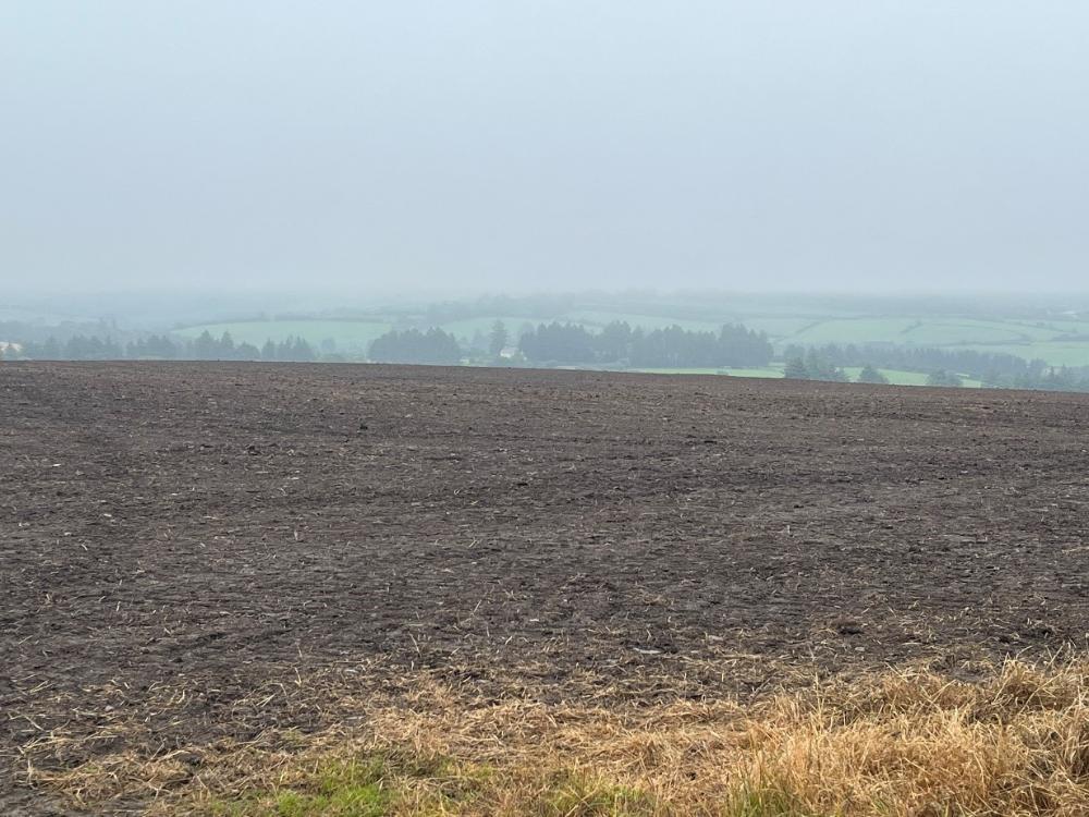 Reseeded field