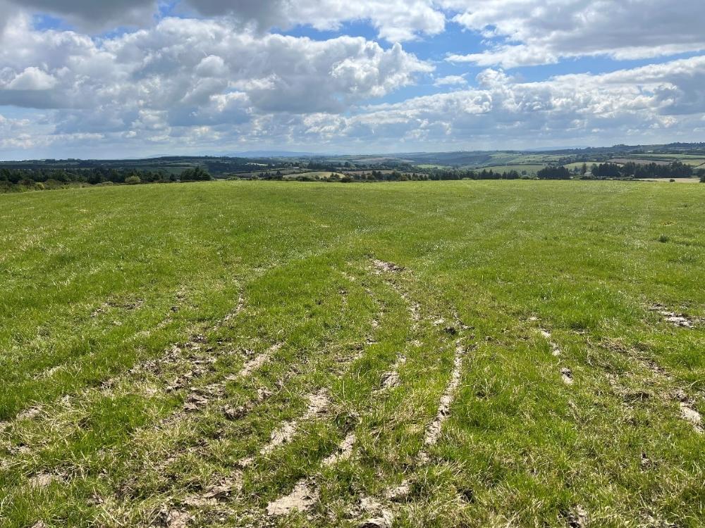 Field