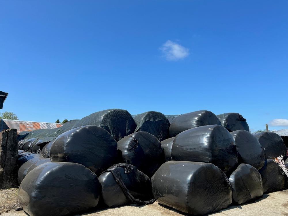 Silage bales stacked in the yard