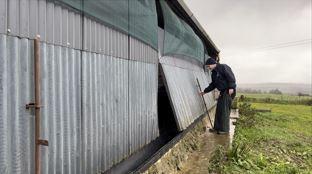 Shed door Ed uses to feed ration
