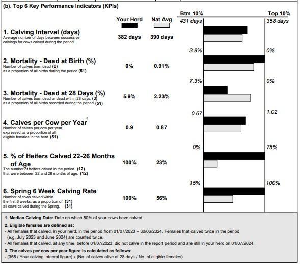 Beef calving report 2024