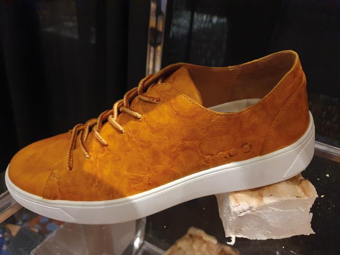 TResearch Summer 2024