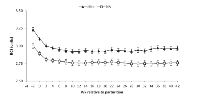 Effect of herd genetics on BCS profile in a pasture based system