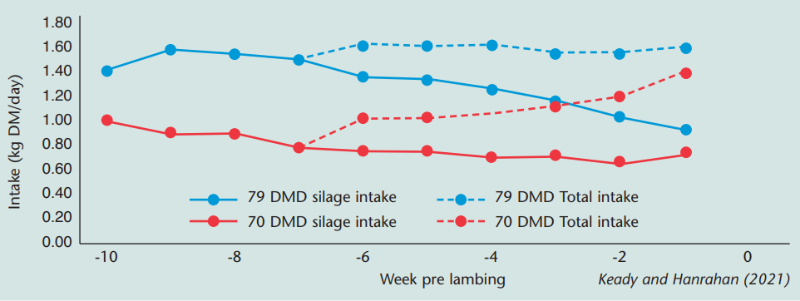 Effect of silage feed value on food intake in late pregnancy, details in text