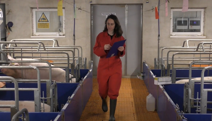 Moorepark Pig Research Farm Update April 2023