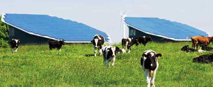 Dairy Farm Energy