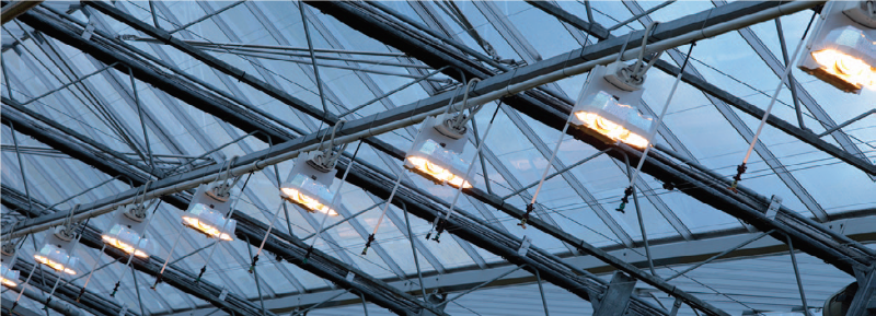 Energy Saving Usage in Lighting Banner Image