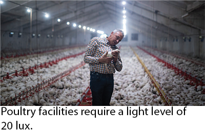 Energy Saving Usage in Lighting Caption Image 1