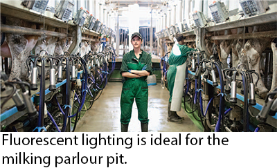 Energy Saving Usage in Lighting Caption Image 2