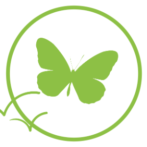 An icon of a green butterfly surrounded by a green circle on a white background