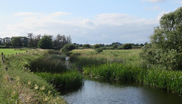 Early insights point to reductions in river nitrogen concentrations
