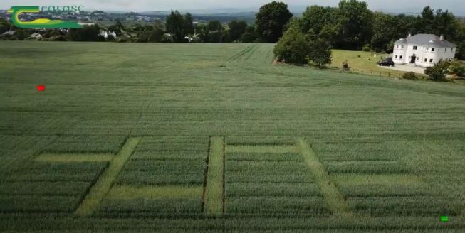 Environment Arable Cropping 1
