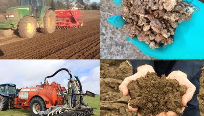 Do organic and recycled nutrient sources stack up in arable cropping?