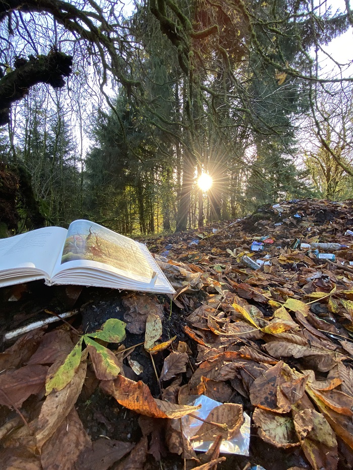 An image of an open book in a woodland