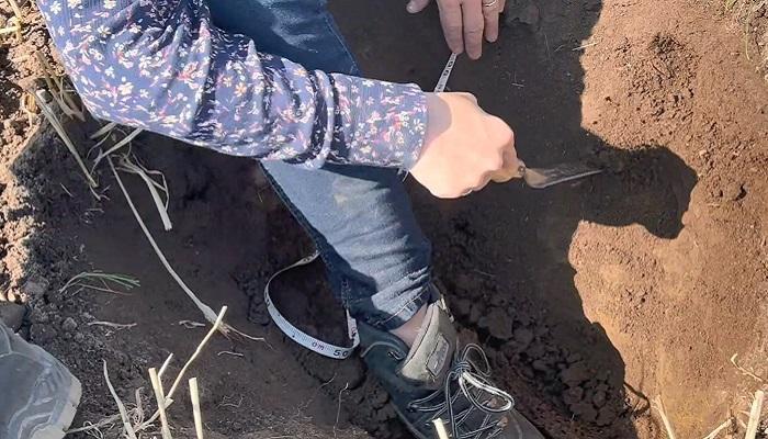 Soil health, rotations and early planting addressed at Teagasc Crops Forum